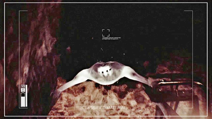 小林热游解说：前面这位老兄，咱有话好商量别冲过来啊！