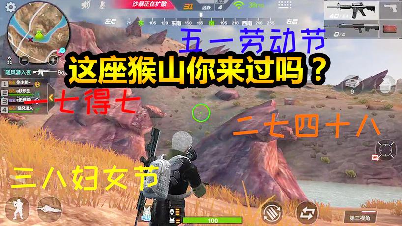 随风生存特训36：这场景你见过吗？漫山遍野跑满逗比猴子！