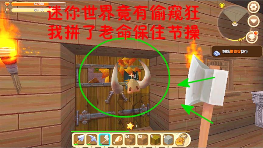 迷你世界生存4：迷你世界竟有偷窥狂 我拼了老命保住节操