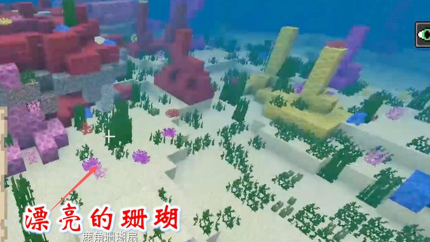 我的世界第二季174：我被漂亮的珊瑚吸引了，准备把它们搬回家