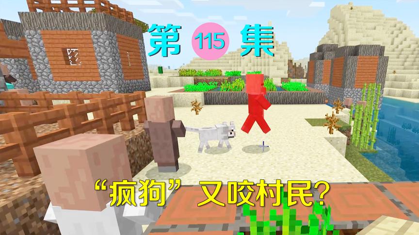 我的世界115：小月的狗狗又发疯了？居然无辜咬死一个村民