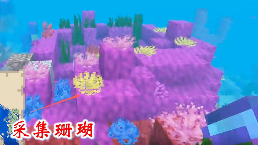 我的世界第二季178：我再次来到珊瑚岛，采集了很多漂亮的珊瑚