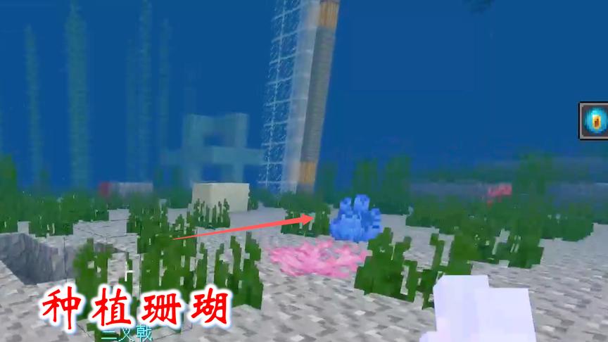 我的世界第二季179：我经过试验发现，珊瑚不能用骨粉催熟