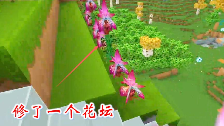 迷你世界联机294：我把门前的小山丘铲平了，建一个大型花坛