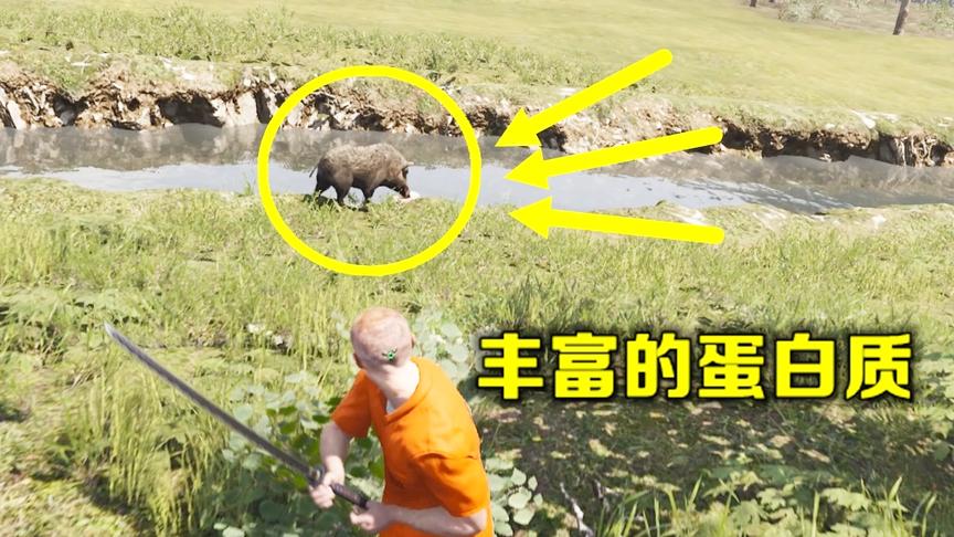 人渣Scum2：为了获得丰富的蛋白质，我和野猪搏斗，差点被打死