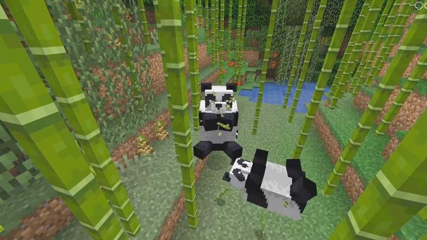 CH明明我的世界嘉年华《MINECON》新版本 大熊猫来啦