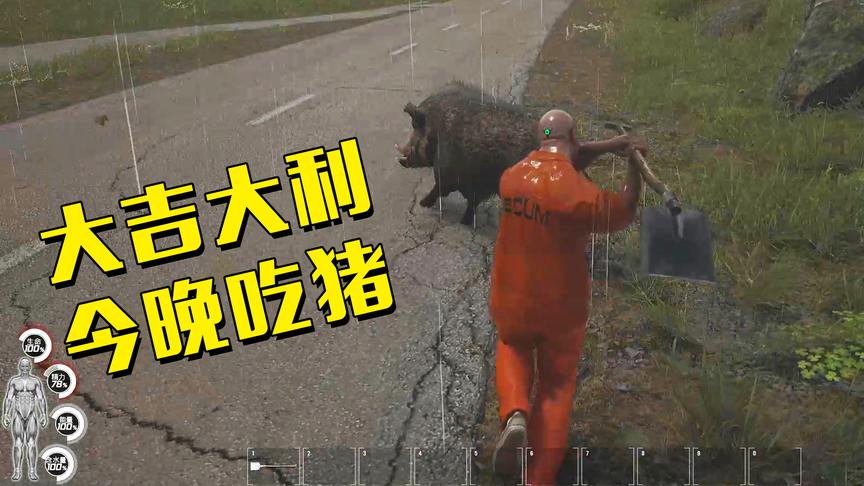 人渣SCUM：刚捡到铲子就遇到一头野猪，今天的晚餐就是它了！