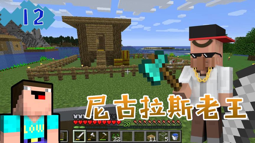 菜鸟《我的世界》生存日记12，养鸡场完工，老王的胡萝卜无力偿还