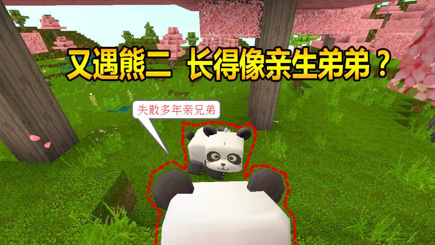 迷你世界联机生存33：又遇熊二，长得像亲生弟弟？