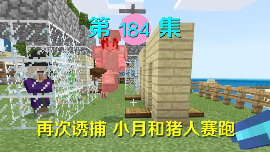我的世界阿阳历险记184：小月用凌波微步与猪人赛跑，诱捕成功！