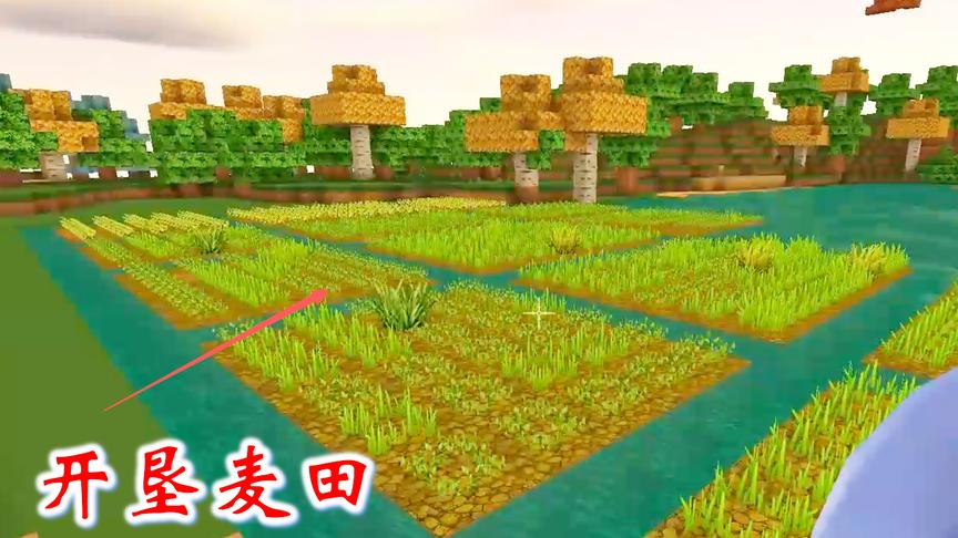 迷你世界联机374：猪小妹在花坛前面开垦了一片田地，用来种小麦