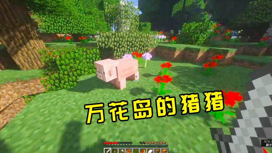我的世界生存25：在万花岛看见了一只猪猪，让我想到故乡的猪猪了