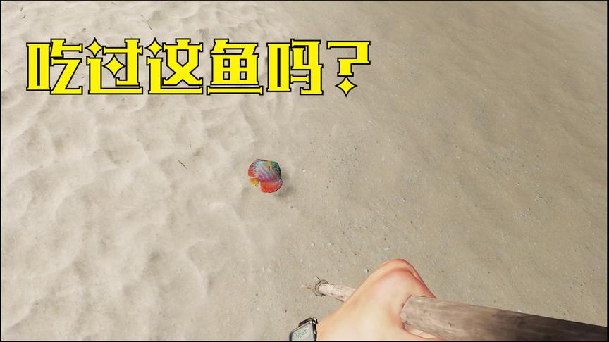荒岛求生03：东穆今天抓到了一只色彩斑斓的海鱼，尝下有没有毒