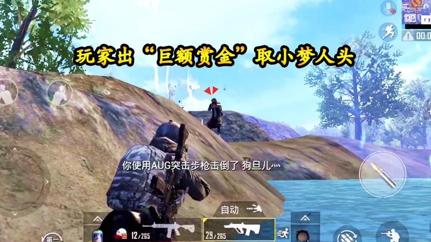 刺激战场：玩家出“巨额赏金”取小梦人头，复仇大战一触即发