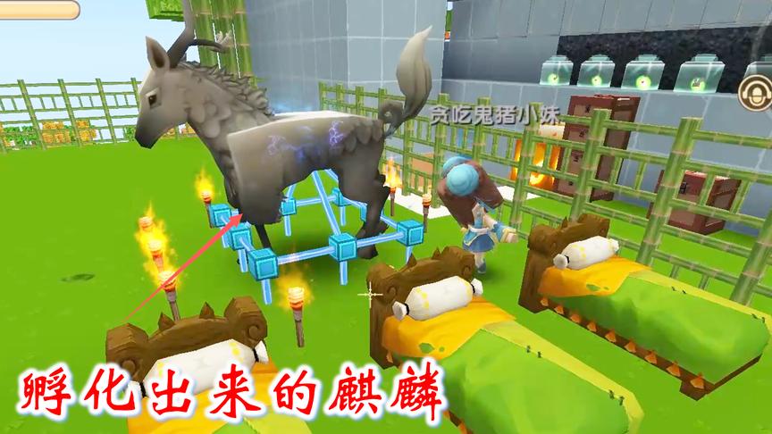 迷你世界联机549：我们晚上不睡觉，熬夜等着“闪电麒麟”出生