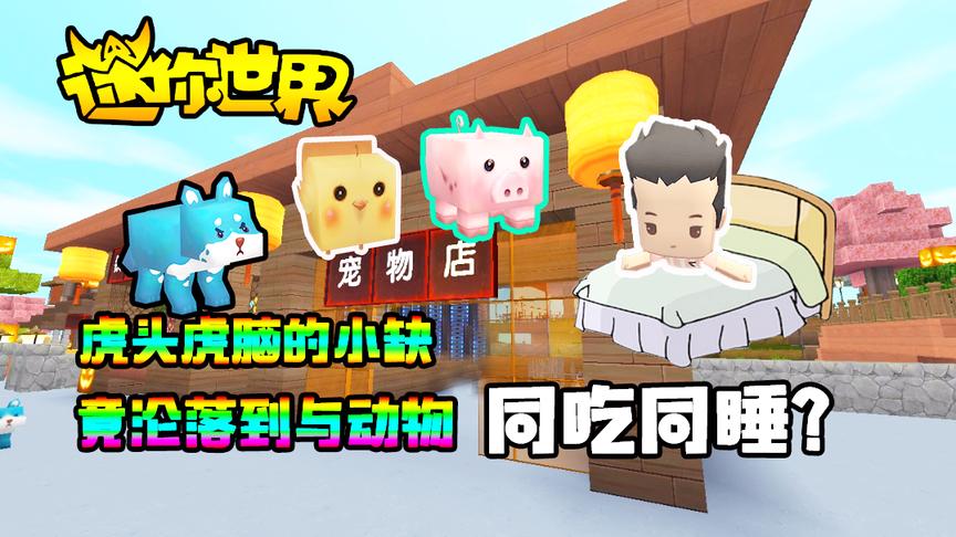 迷你世界搞笑故事：虎头虎脑的小缺，竟沦落到与动物同吃同睡？
