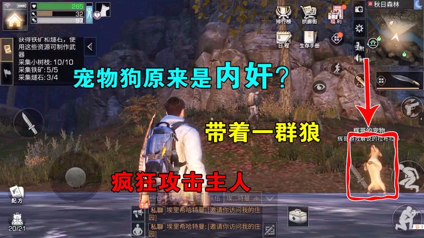 明日之后02：宠物狗原来是内奸？突然发生叛变，带着野狼攻击主人