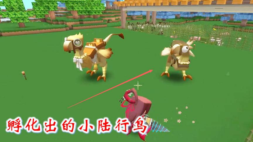 迷你世界联机高级生存56：经过漫长的等待，鸟蛋孵化出了小陆行鸟