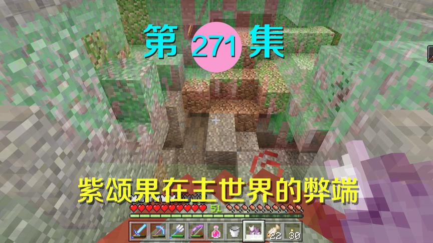 我的世界阿阳历险记271：在主世界不小心吃了紫颂果，让我很郁闷