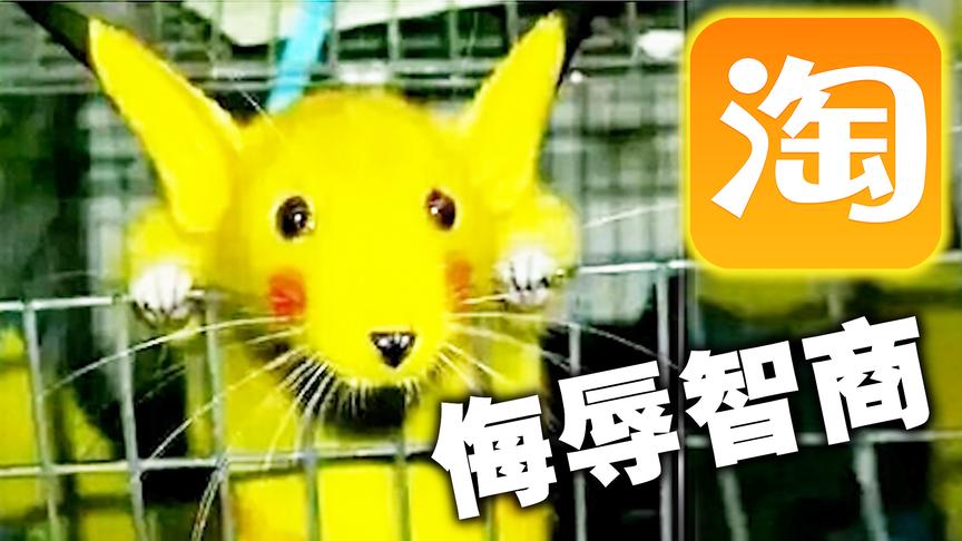 淘宝上最侮辱智商的商品！真是花钱买了个教训