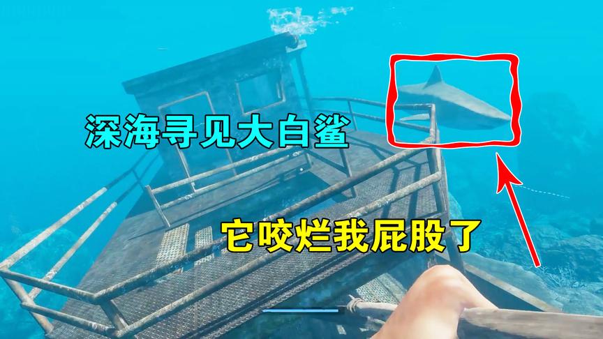 荒岛求生07：深海中寻见大白鲨，我的船差点被掀翻，还被咬了一口