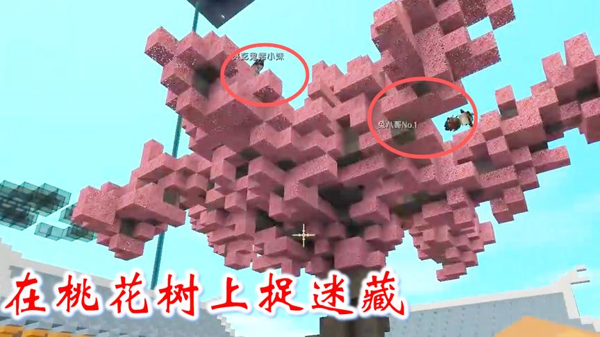 迷你世界联机高级生存179：我们用投掷器爬上桃树，开始玩捉迷藏