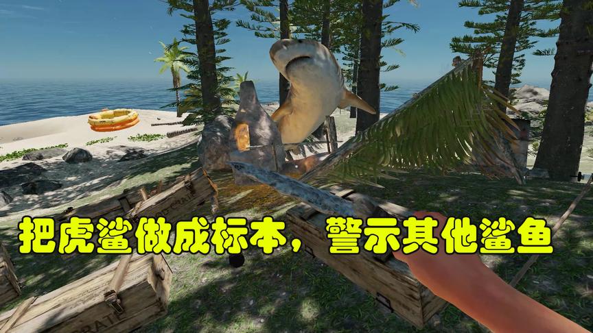 荒野求生21：我把虎鲨做成了标本，这样以后就可以威慑周围的生物