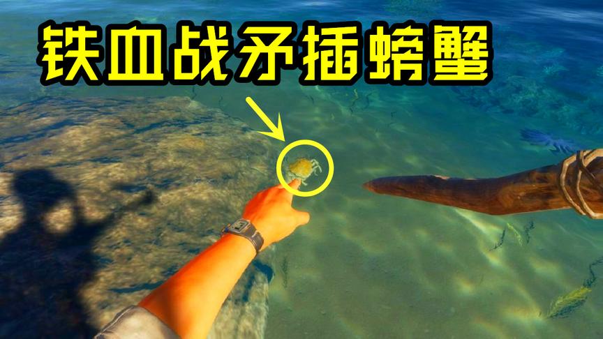 荒岛求生04：用长矛插螃蟹，在海底杀猪，这波生存技巧有点秀！