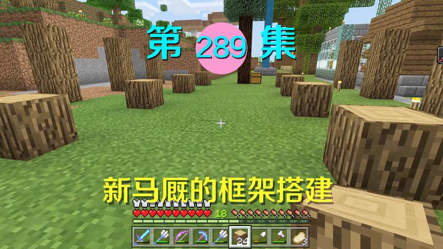 我的世界阿阳历险记289：屠龙后的悠闲生活，为我的爱马造马厩
