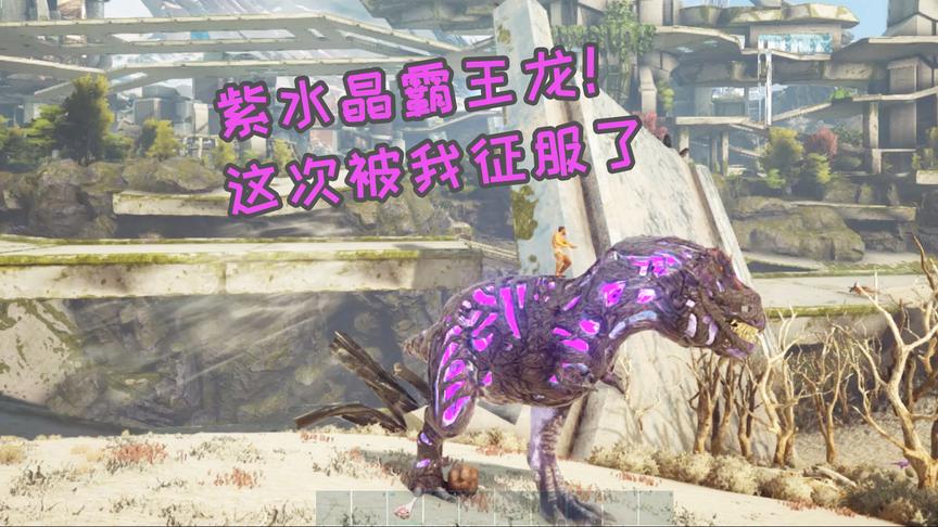 方舟生存进化：风水轮流转！猴哥骑着紫水晶霸王龙征战四方！