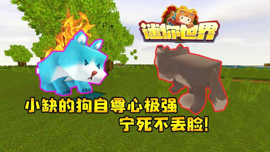 迷你世界联机生存202：三月被狼撕咬，忠实之犬护主心切！