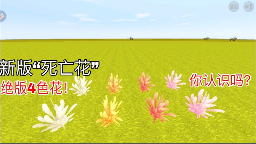 迷你世界：新版“死亡花”靠近就会死？绝版4种颜色的稀有花种！