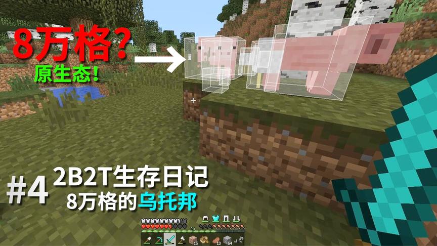 2B2T生存日记：小豆到8万格安居乐业，没想到"科技"把他坑惨了！