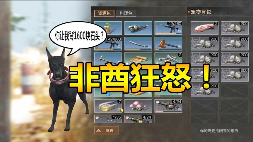 明日之后34：抽不到芯片的随风，竟然让奥斯卡背1600块石头？