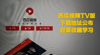 网络电视tv版下载 西瓜视频