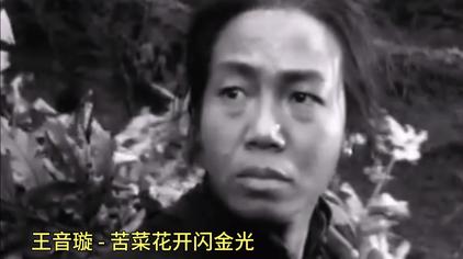 电影苦菜花歌曲原唱 西瓜视频