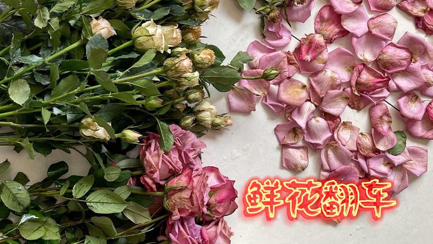 50朵玫瑰花花束多大 西瓜视频