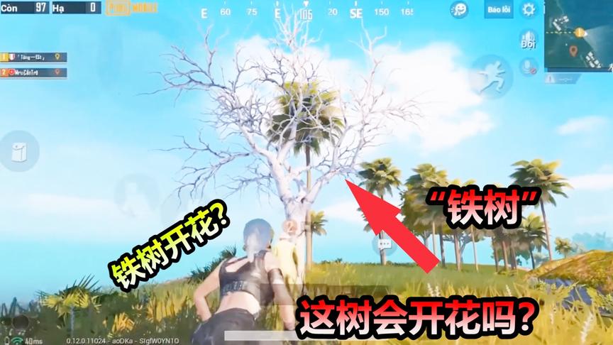 刺激战场：游戏里的“铁树”真的能开花么？开花后的样子好美