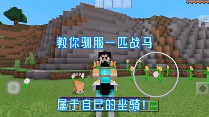 Mc驯服马用什么 西瓜视频