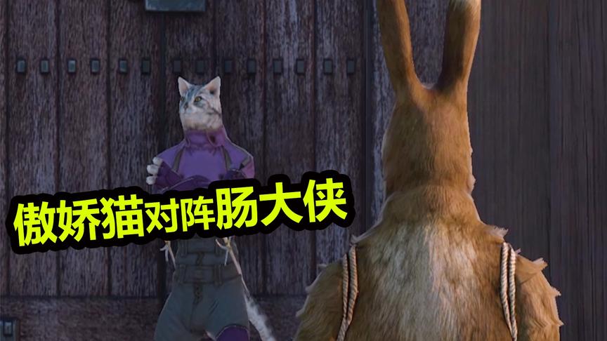这只猫竟然比狗还要厉害！兔子这次能救出奴隶吗？