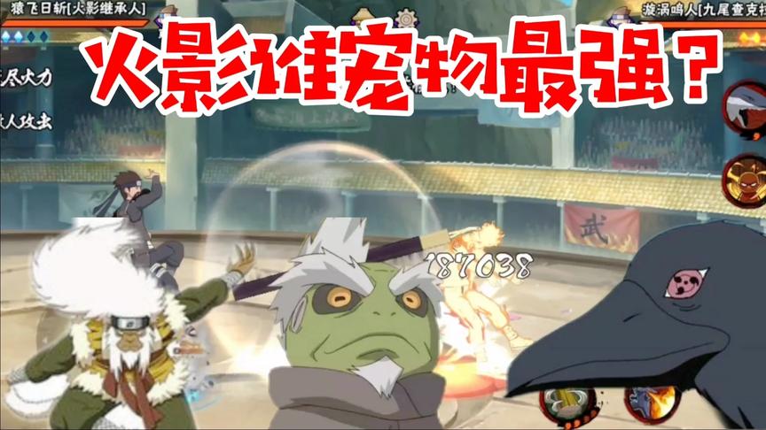 火影最强带宠物忍者是谁？日斩:上吧猿魔，鼬:我的乌鸦会幻术！