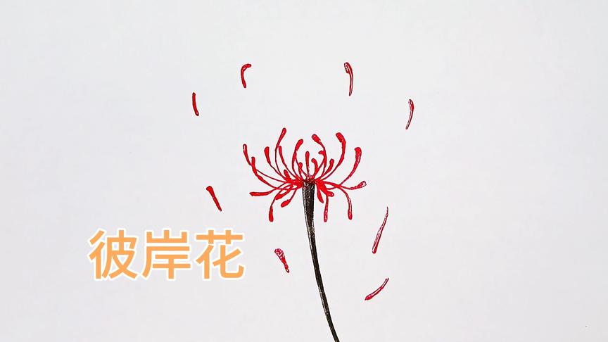 彼岸花简笔画步骤图解 西瓜视频