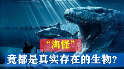 皱鳃鲨 西瓜视频