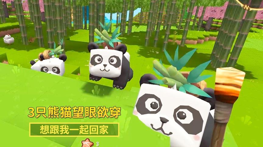 迷你世界极限生存14：竹林中的3只熊猫望眼欲穿，盼望跟我回家