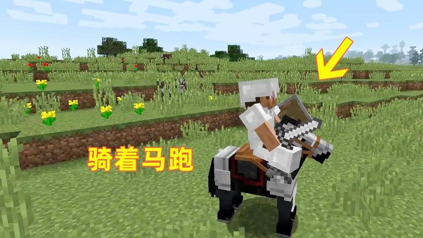 我的世界第27期！我把村民养的马偷走，骑着马儿跑速度飞快呀