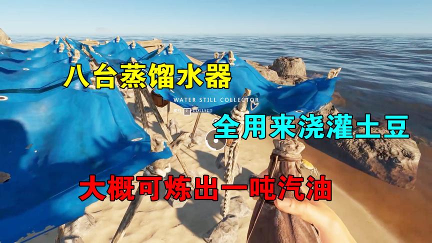 荒岛求生12：八台蒸馏水器，全部用来浇灌土豆，能炼制多少汽油？