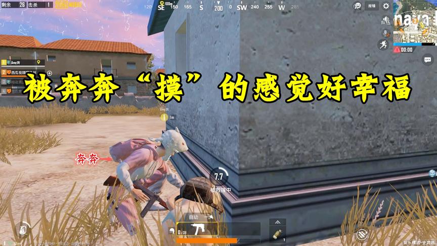 刺激战场：说好带奔奔吃鸡，却被奔奔救起三次！开心！