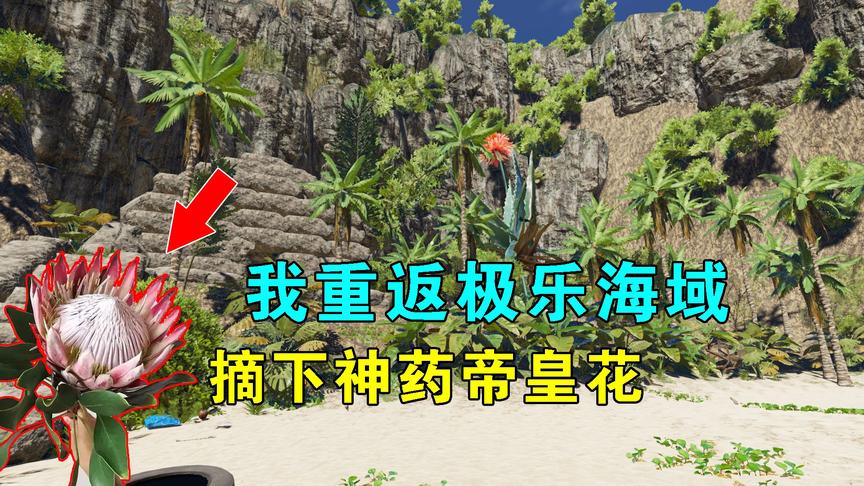 荒岛求生198：我重返极乐海域，摘下神药帝皇花，救治U40星人伤势