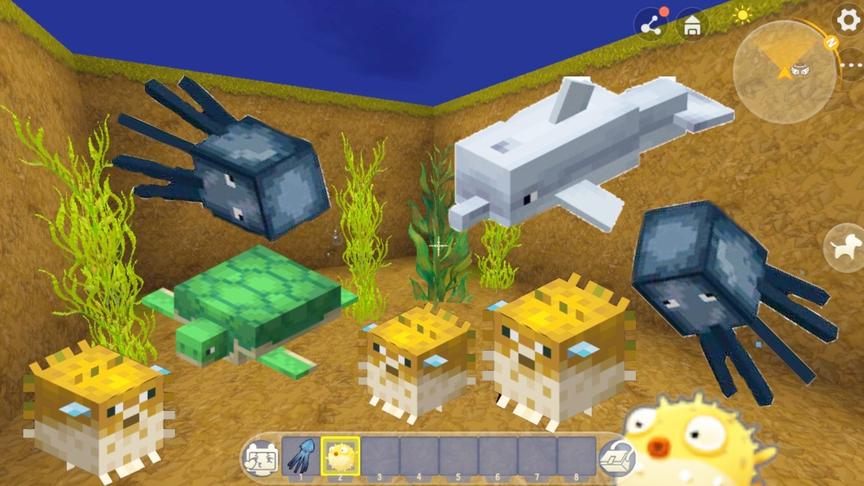 迷你世界：发现水底生物“河豚”和“乌贼”，还有生物“海龟”？