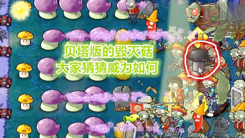 贝塔版植物大战僵尸的毁灭菇威力如何？能否做到一次性全屏秒杀